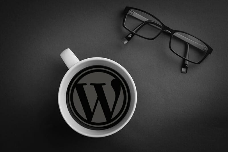 Expert WordPress Support. Expert support when you need it.