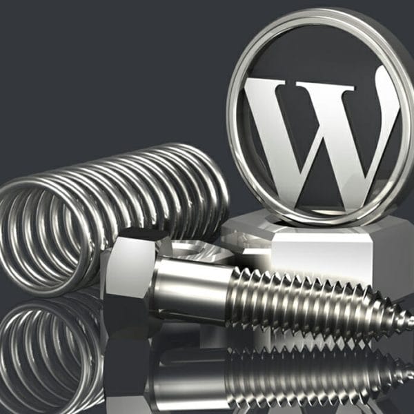 WordPress Professional Support